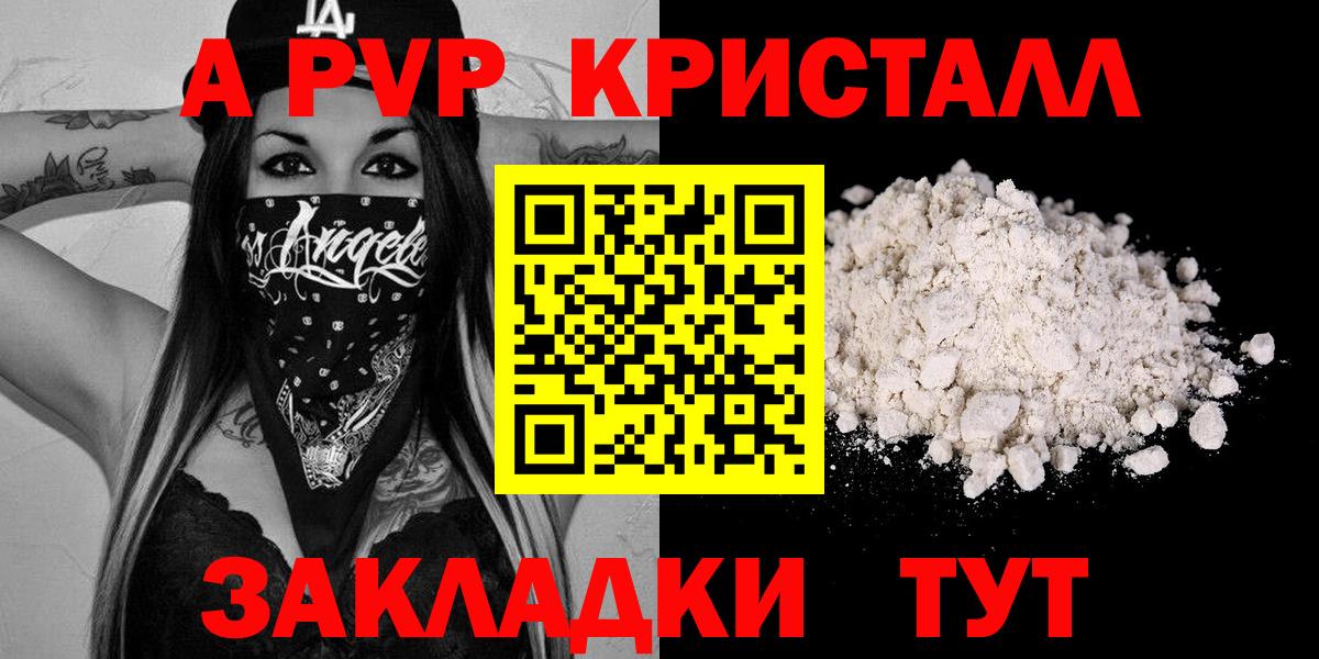 Alfa_PVP СК КРИС Кизилюрт