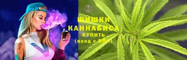 СК Медвежьегорск