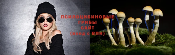 СК Медвежьегорск