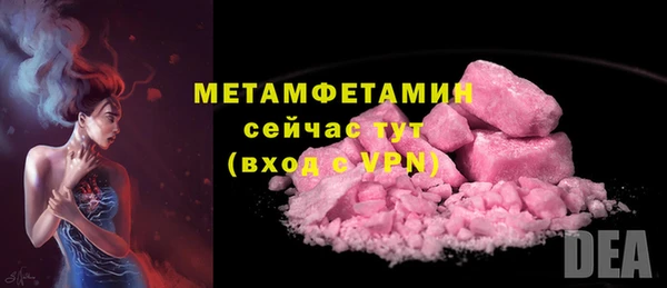 прущие грибы Мегион