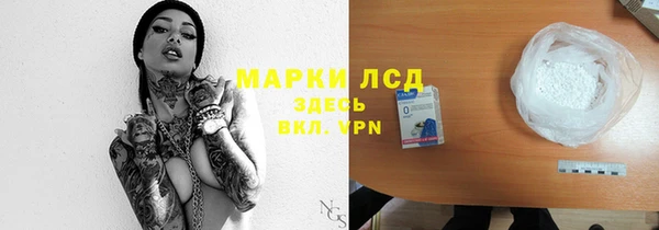 прущие грибы Мегион