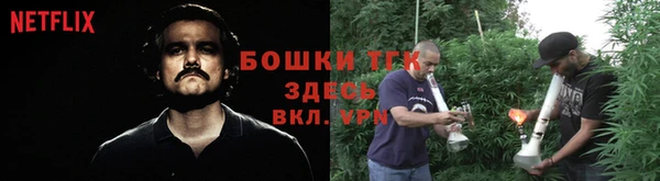 прущие грибы Мегион