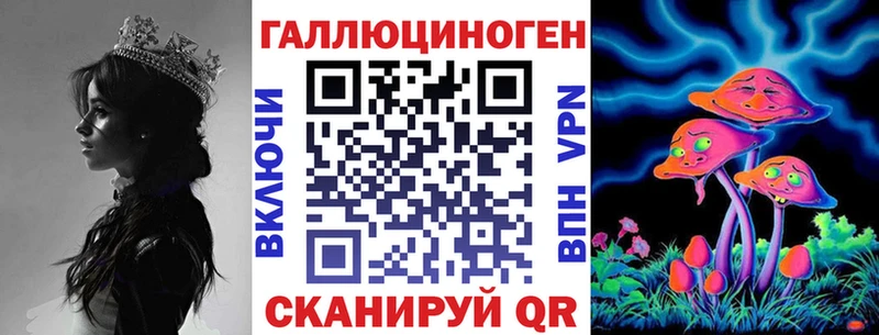 Галлюциногенные грибы Psilocybine cubensis  Кизилюрт 