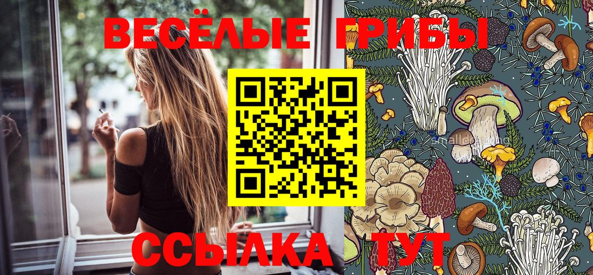 Кизилюрт  Псилоцибиновые грибы мухоморы  Вход с VPN 